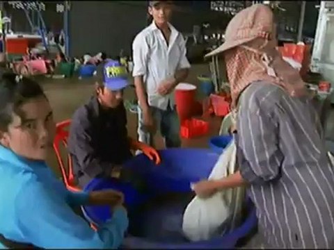 Thailande, des insectes contre la faim [ARTE]