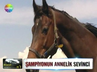 Şampiyonun annelik sevinci - 20 nisan 2012