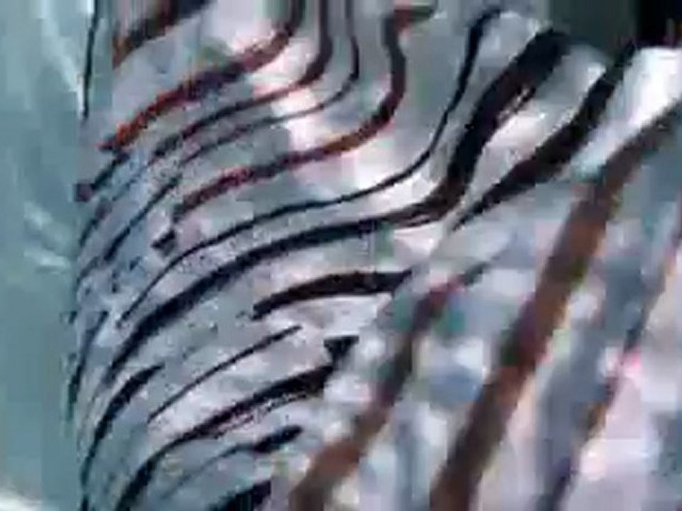 Kodak Zx5 PlaySport Full HD Camcorder (5,1 cm (2 Zoll) Display Video Camera Bundle