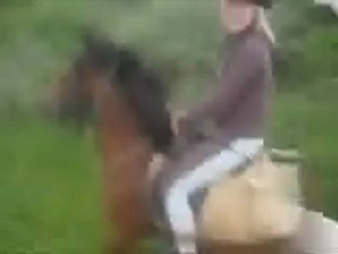 Centre Equestre de Wismes