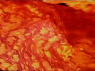 The Planet -KARA TOPRAK