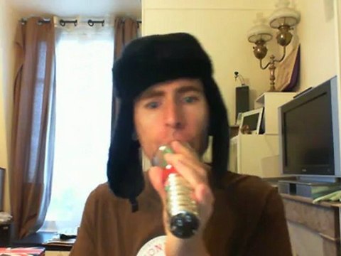 Wiwi égratigne fièvre resurrectionnelle d'Hubert Felix Thiéfaine