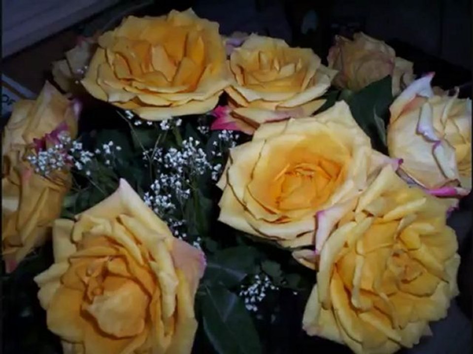 ANDRE RIEU --VALSE DE VIENNE - YouTube