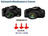Nikon D3100 SLR-Digitalkamera (14 Megapixel, Live View, Full-HD-Videofunktion) Best Price