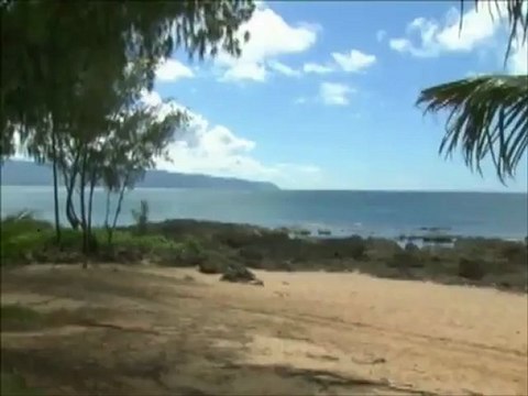 Pino Scavo - Dio come ti amo // Deus Como Te Amo