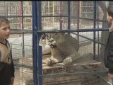 Gaza zoo puts stuffed animals in cages to cut costs