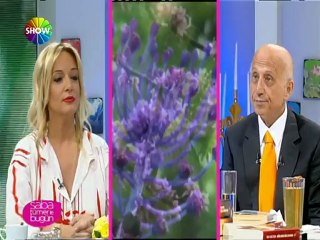 Yaşar Nuri Öztürk - Çocuğunu terk eden anne-baba