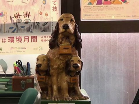 Cafés de gatos peligran en Japón