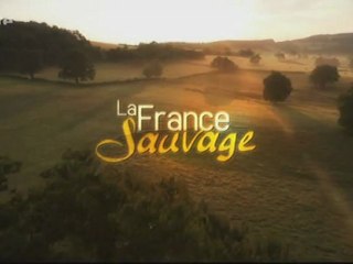 les alpes, les sommets de l'extreme (1)