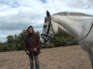 Demander et c'est tout..(stage Nathalie avril 2012)