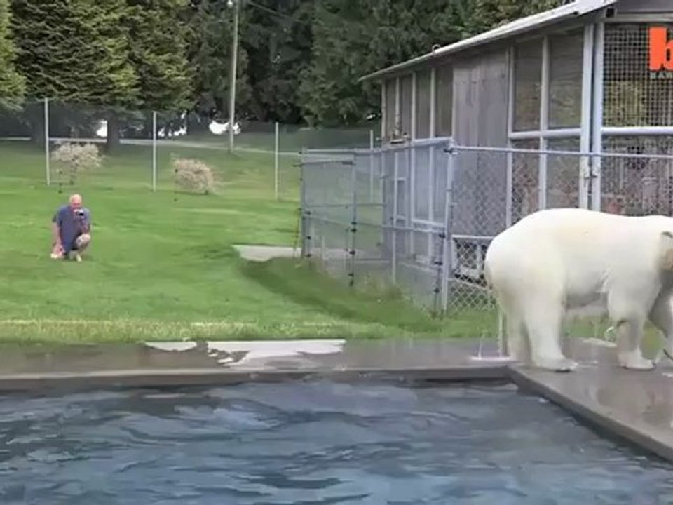 ours_blanc