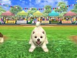 Nintendogs Cats