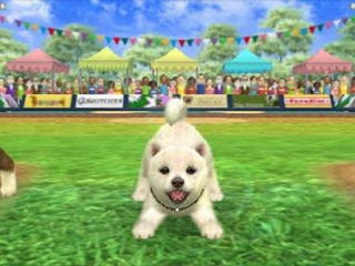 Nintendogs+Cats