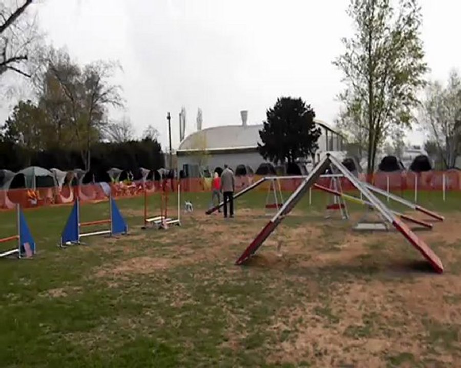 Agility 2012 - Orphée & Olga, Bedlington Terrier.