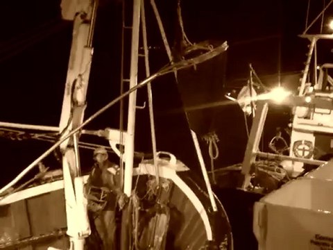 Barr Avel à la débarque criée de Douarnenez