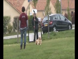 Djuna - concours de Condat - avril 2012