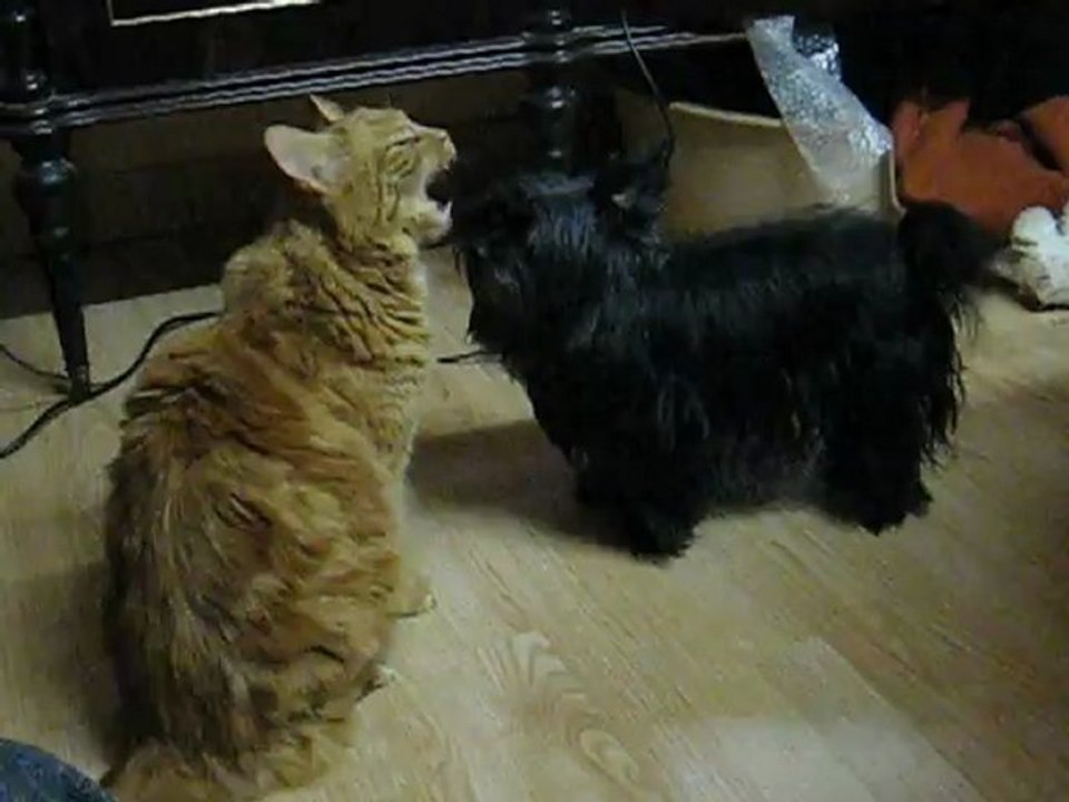 Mathis et Cayatte