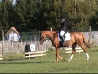 Dress Syska du Durzon Jau cl3