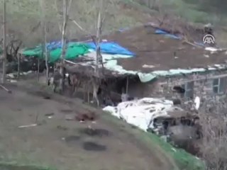 Terör örgütüne yönelik operasyon