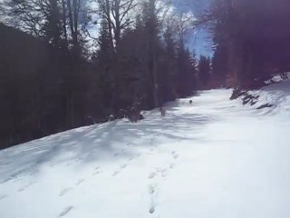 Première neige de Mattilda