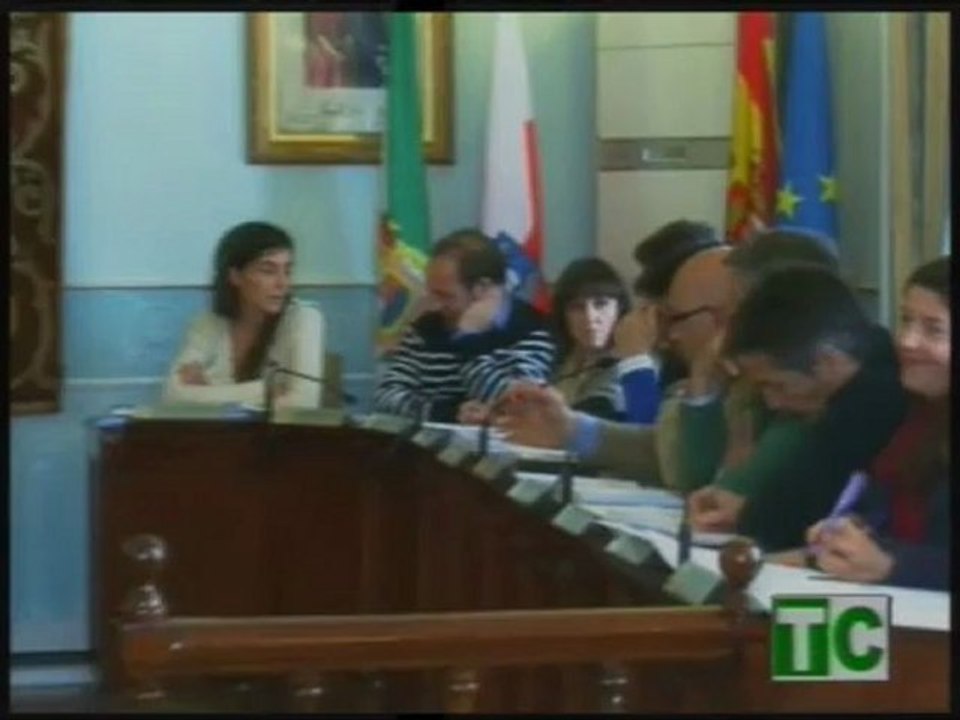 PLENO 19.04.2012