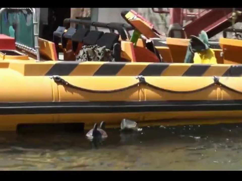 Jurasic Ride HD (Universal Studios)