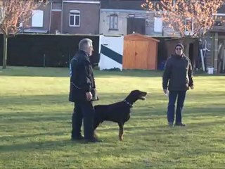 EACO de Darius le 21/04/12 à Halluin.