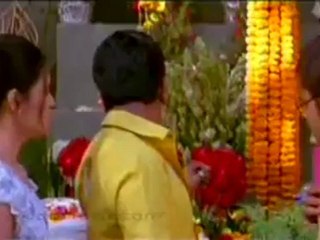 BZP3 http://www.moviemaat.com