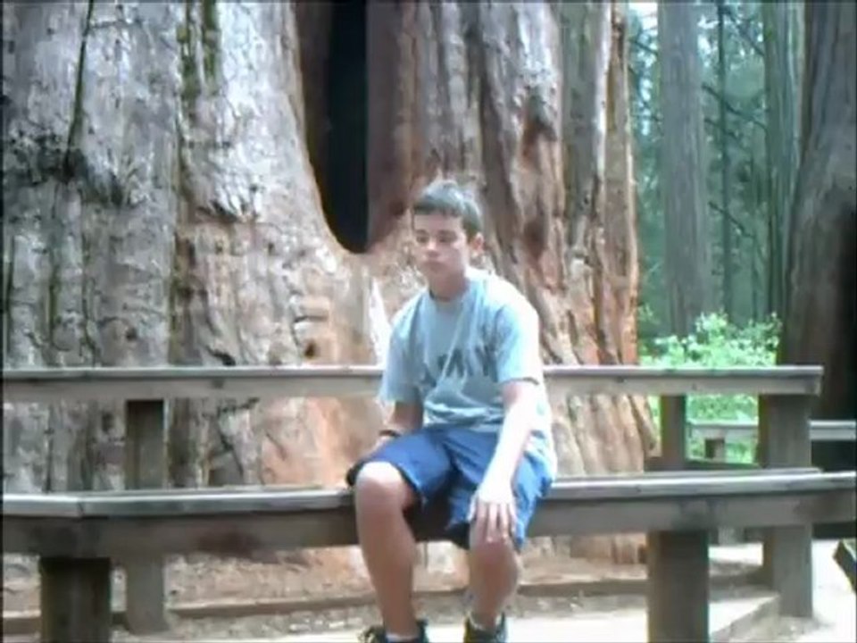 Brandon at big trees state Park