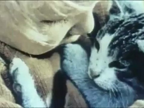 Михаил Боярский - Городские цветы