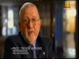 Edad de Piedra: Las primeras aldeas (Especializacion del trabajo)