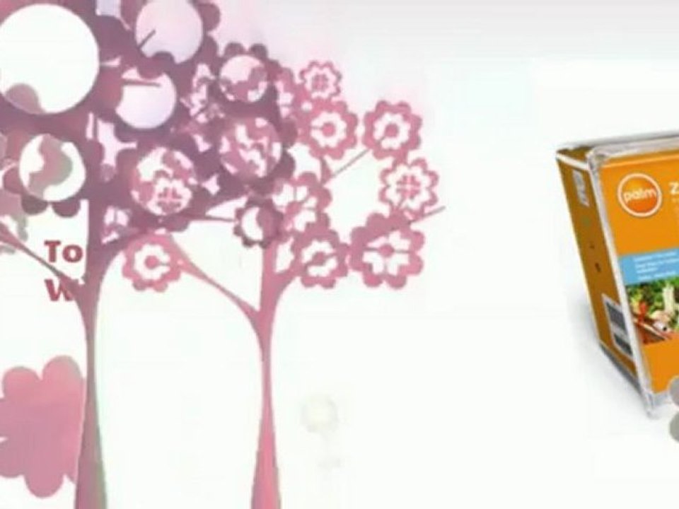 Best Price Review - Palm Z22 Handheld PDA Computer