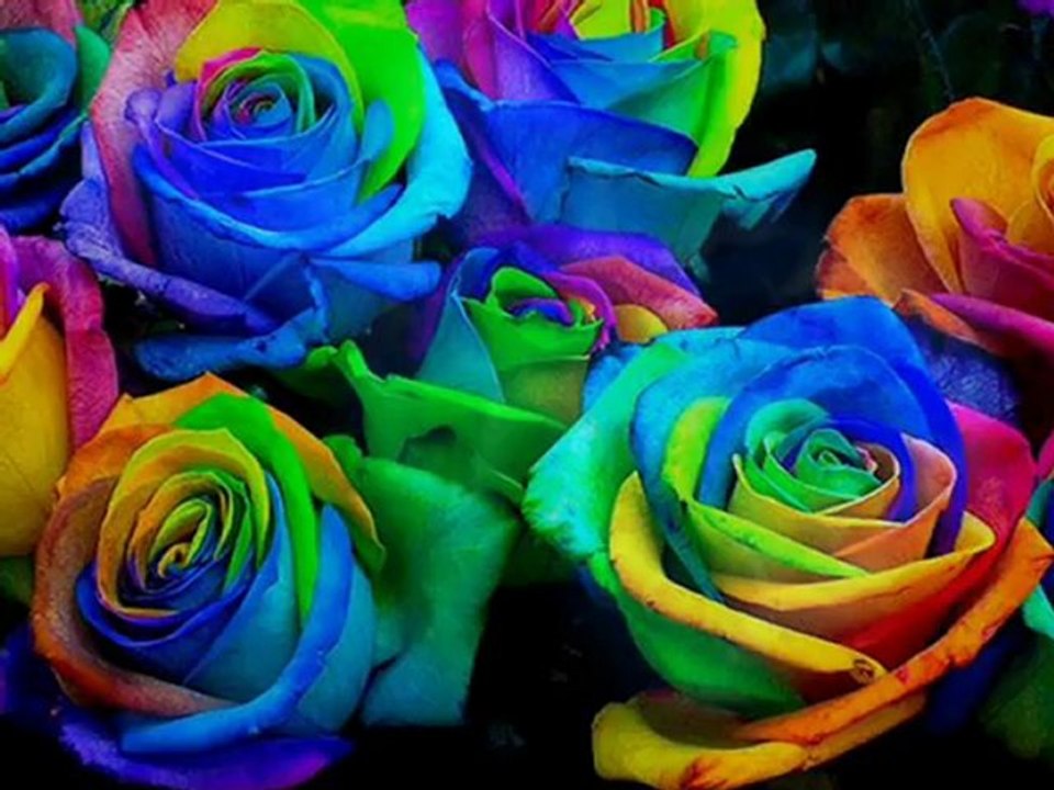 Ahmet Özhan ♫ Rüya Gibi Uçan Yıllar ↝ TBNYD13