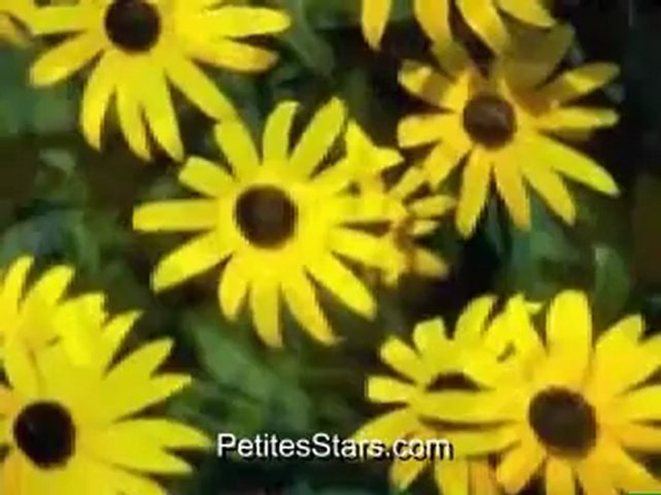 Clip de la chanson "Maigo no tenshi", interprétée par Crybaby - 1997