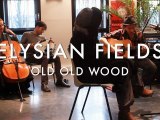 Elysian Fields - Old Old Wood (Froggy's Session)