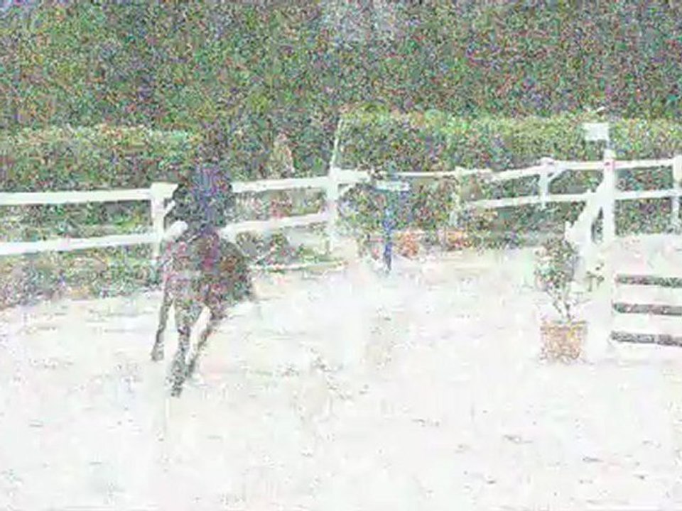 Concours au Manoir le 21 avril