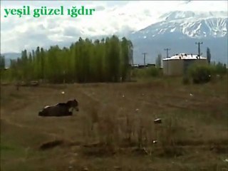 IĞDIR 20 NİSAN 2012 BU GÜN HAVA GÜZEL:)))