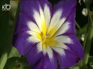 Interview de Jean-Marie Pelt (2)