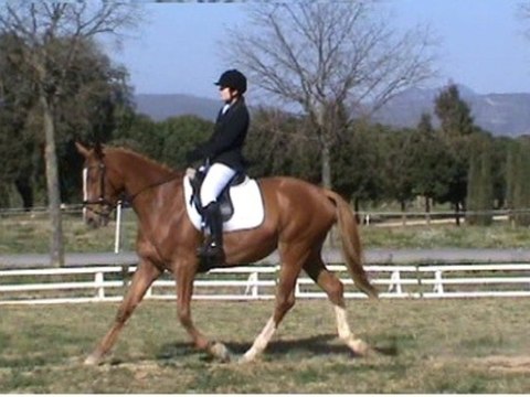 Syska du Durzon dress CL3 Le Pouget