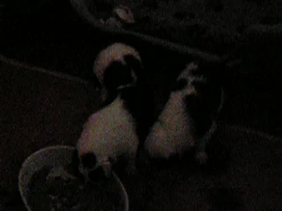 PICT0012