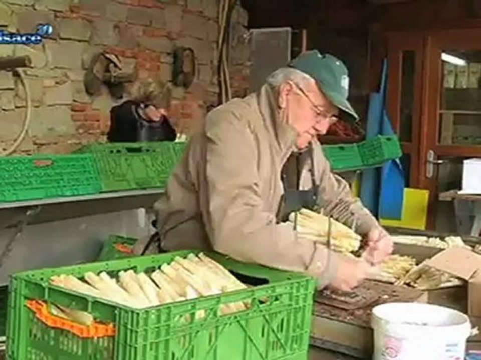 Terroir: l'asperge d'Alsace