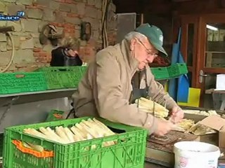 Terroir: l'asperge d'Alsace