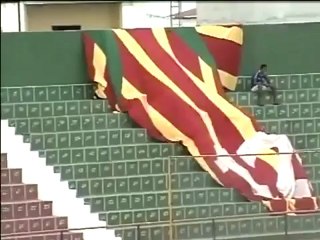 Les joueurs de foot peur d'une attaque d'insectes