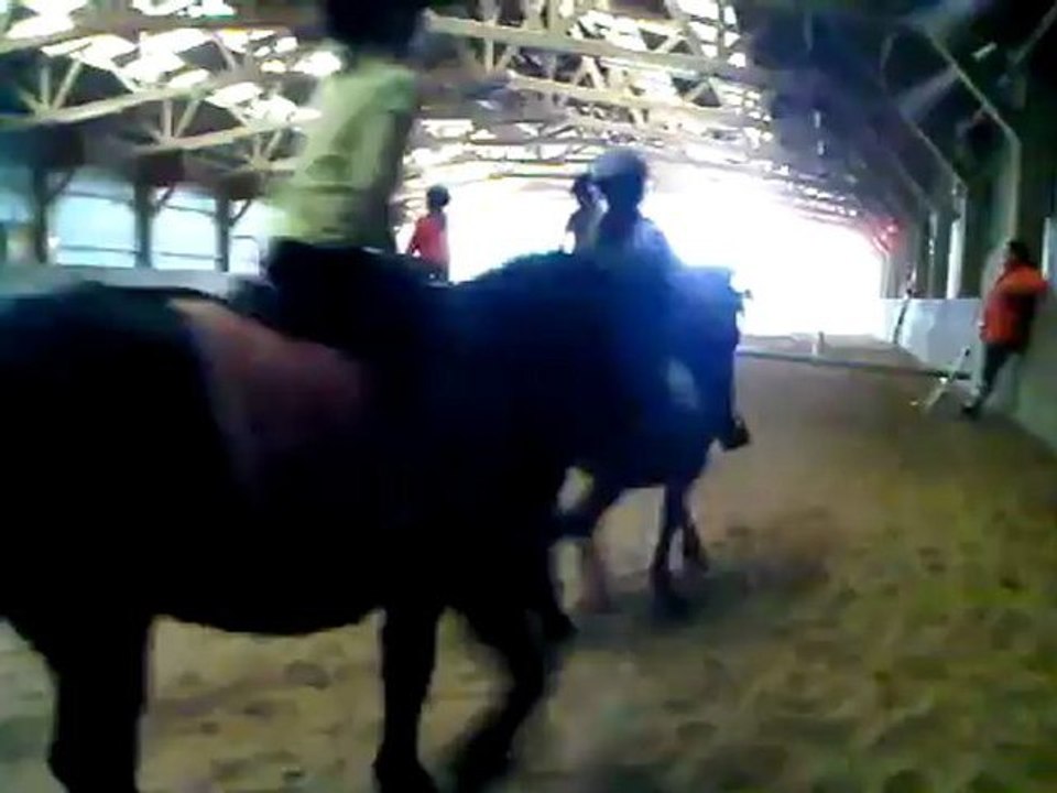 equitation 2