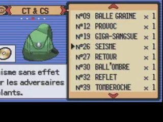 [GBA] Pokémon Version Émeraude - 24 : Le conseil des 4 et le Maître POKÉMON