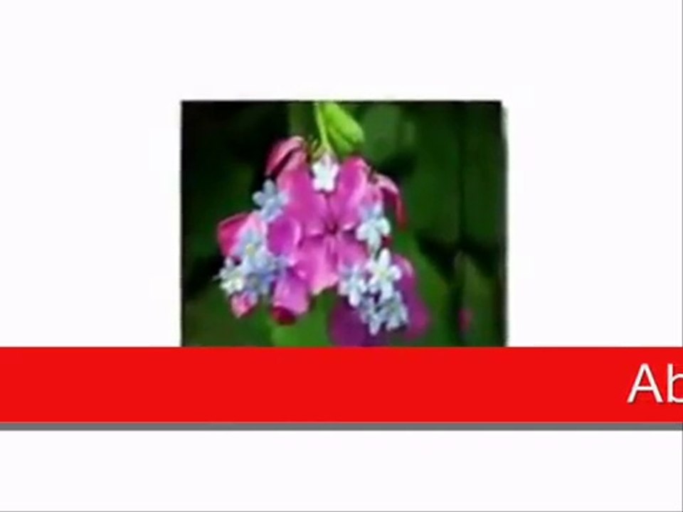 Abdurrahman ÖNÜL- Aşka Gelerek [ Zikirli İlahi ] -