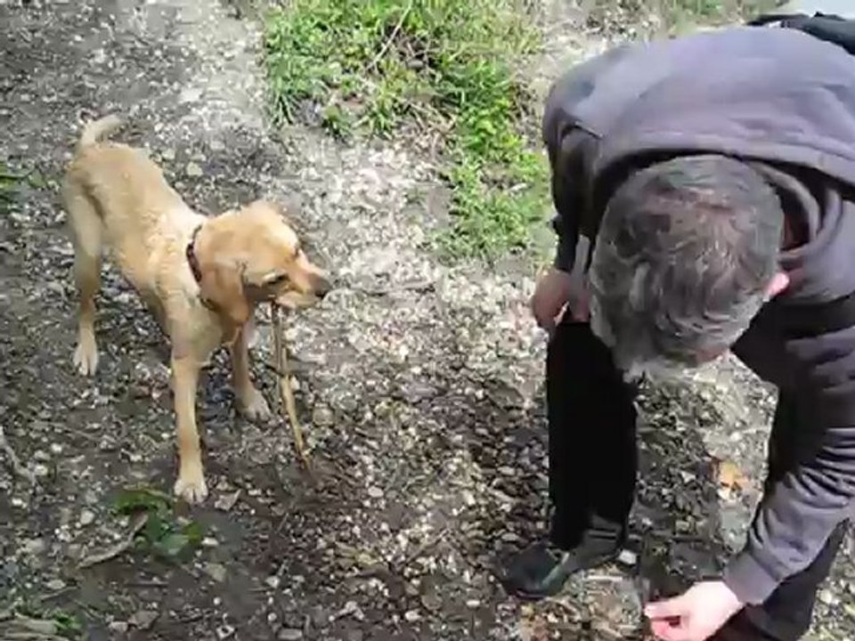 LES DEBUTS DE GAILLAC DANS L'EAU