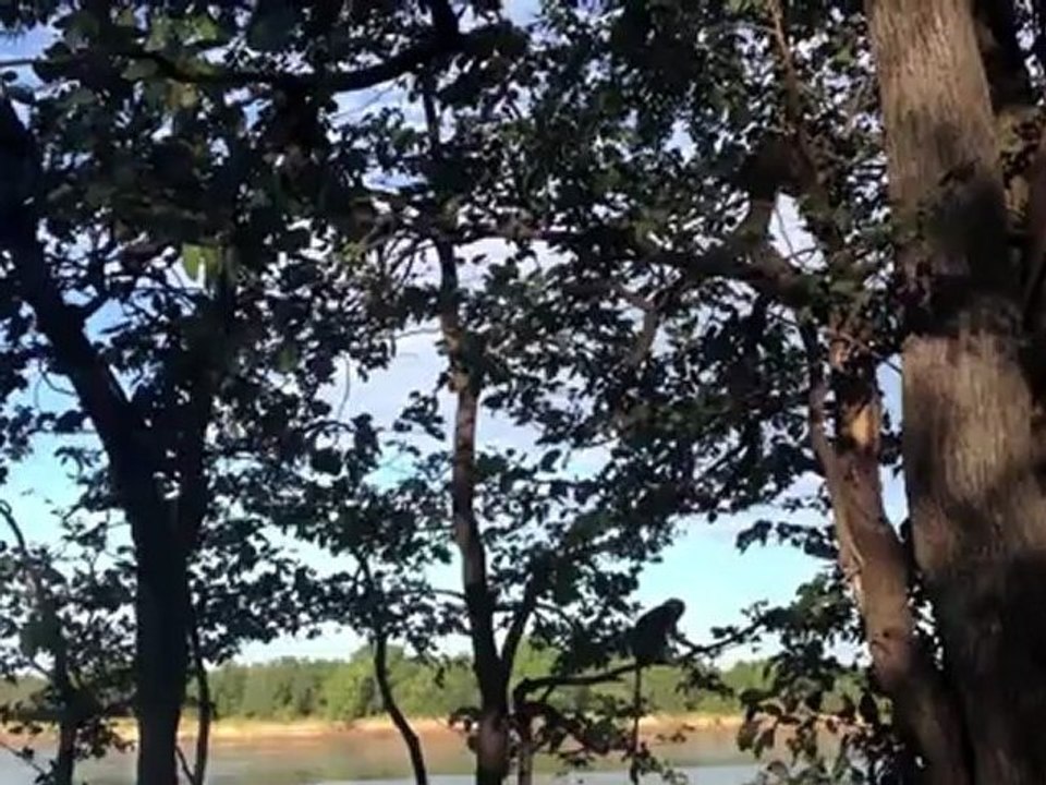 South Luanga
