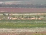 فري برس درعا المسيفرة حصار خانق على البلدة 21 4 2012 ج2 Daraa