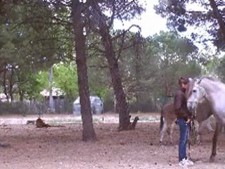 Méthode J-F P + liberté!